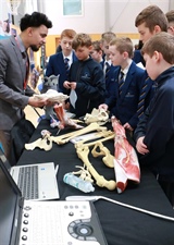 Whole School Careers Fair